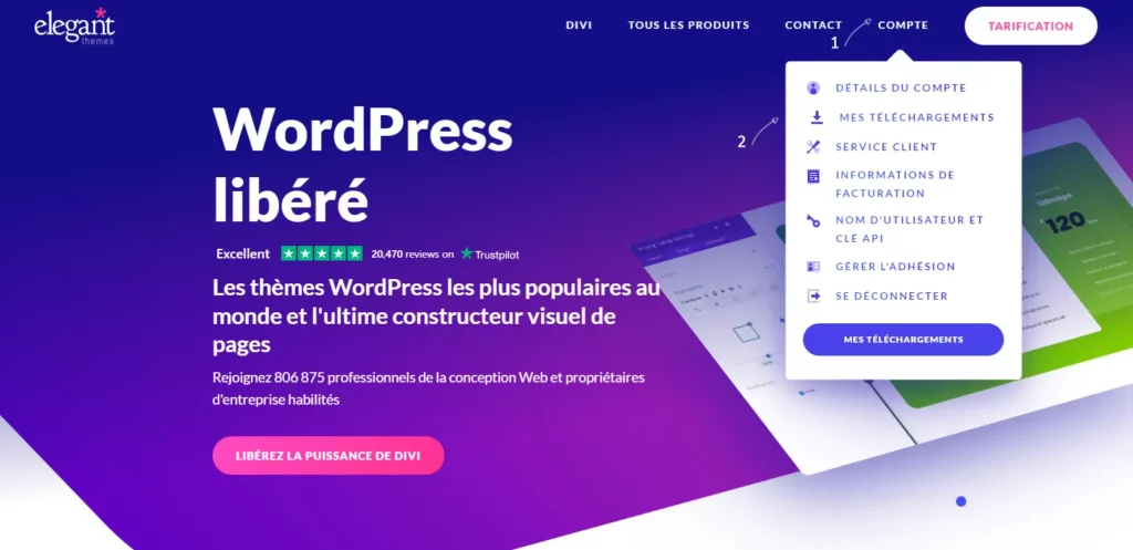 telecharger divi wordpress gratuitement